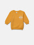 LC Waikiki Crew Neck Thick Printed Baby Boy Sweatshirt